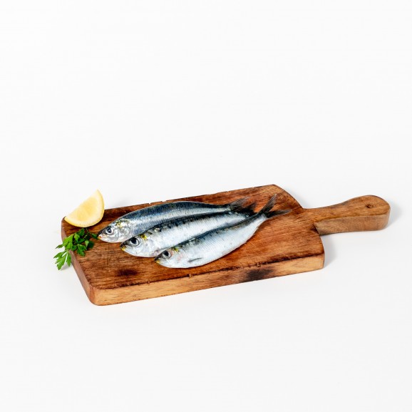 SARDINA PLAYA MED. (sardina pilchardus)