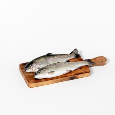 TRUCHA RIO 300-400(Orcorynchus mykiss)