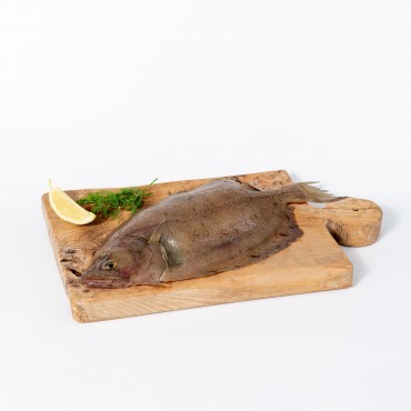 BRUIXA 400-600G (Lepidorhombus)