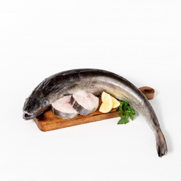 HAKE CELEIRO 0,7-1KG (Merluccius)