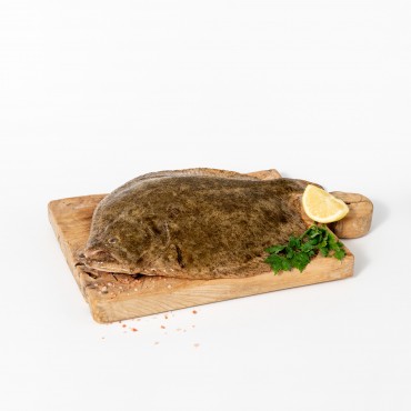 RODABALLO SALVAJE 1-2 KG (Psetta maxima)