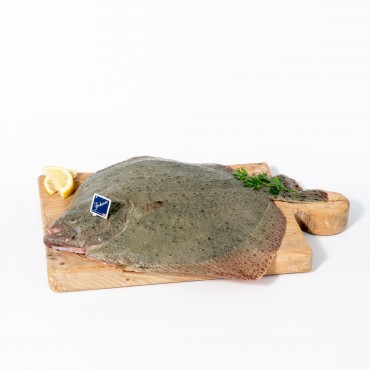 RODABALLO 1-2 KG (Psetta maxima)