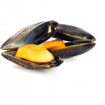 MUSCLO GALLEC GEGANT (Mytilus edulis)