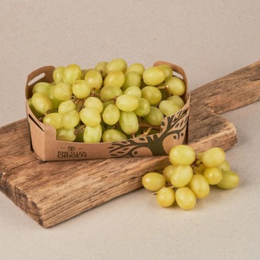 Raïm blanc sense llavors