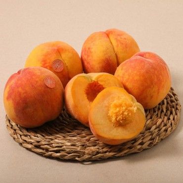 PRESSEC GROC ESPECIAL