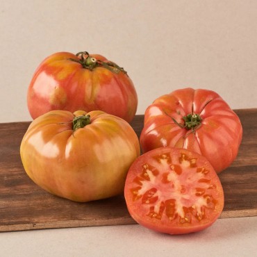 Tomàquet rosa de Barbastro