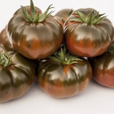 TOMAQUET MEDITERRANI KG