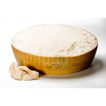 PARMIGIANO REGGIANO DOP RUEDA KG