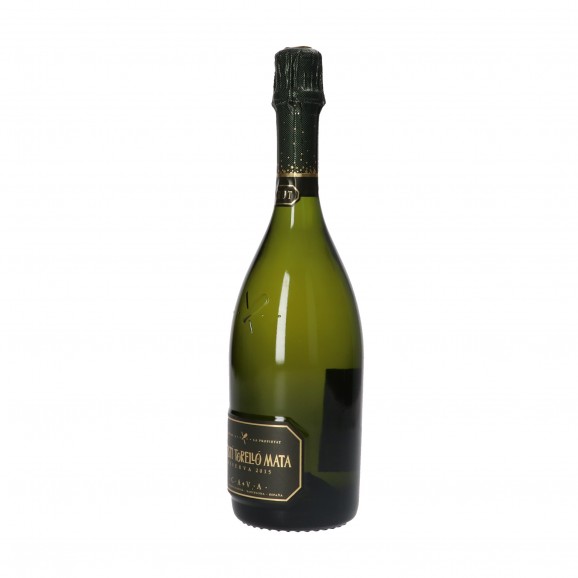 AGUSTI TORELLO CAVA BRUT 75CL
