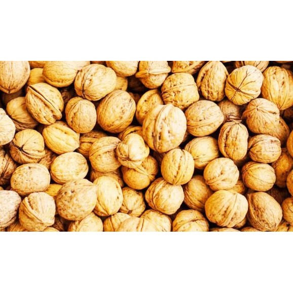 ABUELO VICENTE NOIX 750 GR