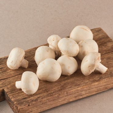 Safata de xampinyons, 1 unitat 