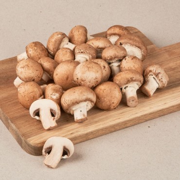 SETA PORTOBELLO 250G