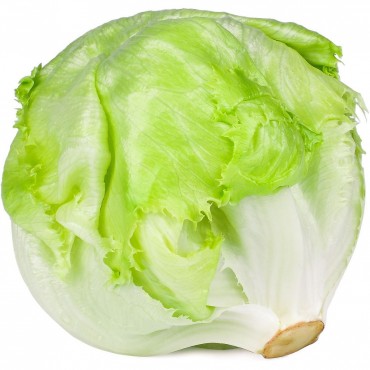LECHUGA ICEBERG 1U.