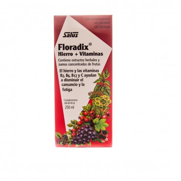 SALUS FLORADIX 250ML