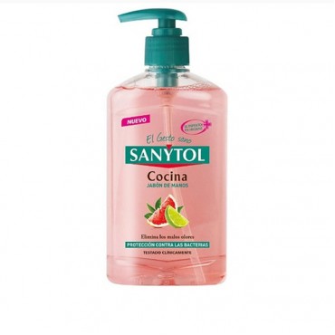 SANYTOL SAVON LIQUIDE CUISINE 250ML
