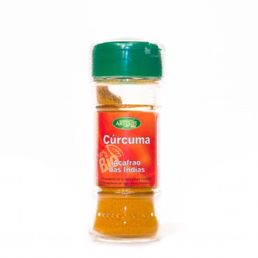 ARTEMIS CURCUMA BIO 30GR