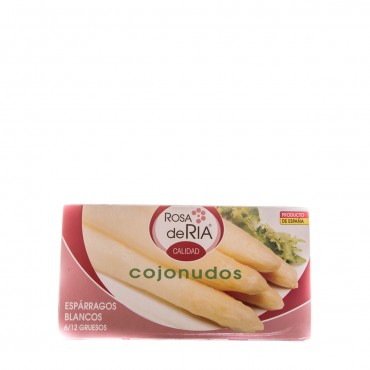 ROSA RIA ESPARREC FESTA 6/12U