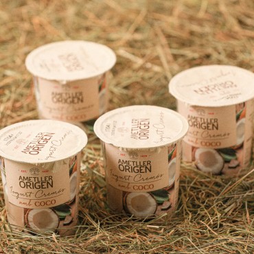 AMETLLER CREMOSO COCO 125G X4