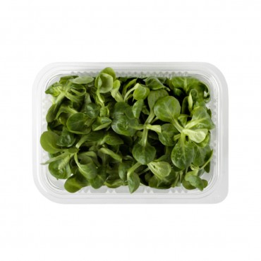 CANONIGOS BANDEJA 70G