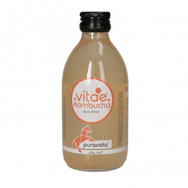 KOMVIDA KOMBUCHA FIBRA 250ML