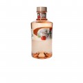 JUNE GINEBRA 70CL