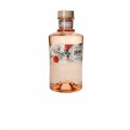 JUNE GINEBRA 70CL