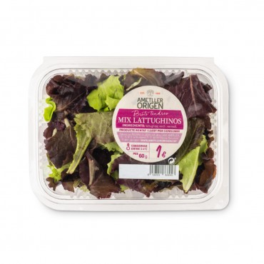 AMETLLER MIX LATTUGHINO VERDE BANDEJA