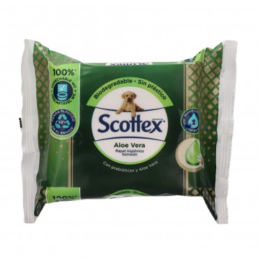 SCOTTEX PAPER HIGI.HUMIT SENSIT.ALOE 66U