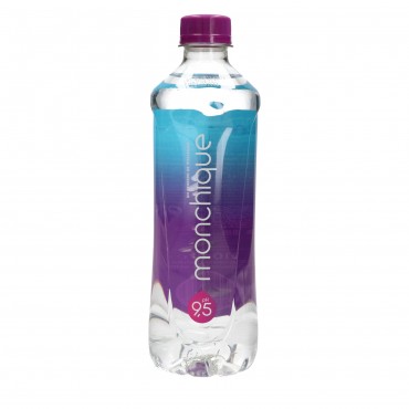 MONCHIQUE AGUA ALCALINA 9,5 PH 510ML