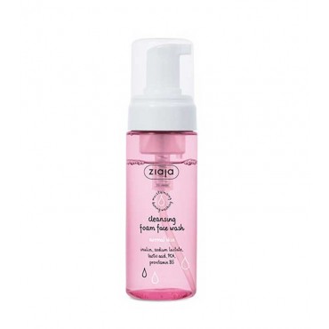 ZIAJA NETEJADOR FACIAL ESCUMA P/N 150ML