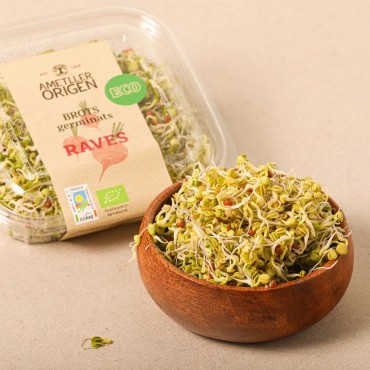 AMETLLER GERME RADIS BIO 50G