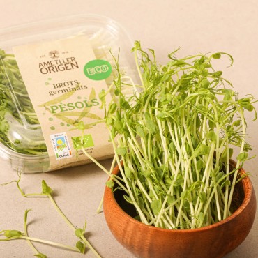 AMETLLER GERME PETIT POIS BIO 50G