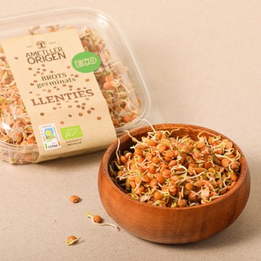 AMETLLER GERMINADO LENTEJAS BIO 70G