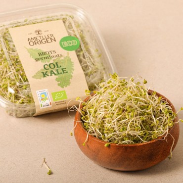AMETLLER GERMINADO COL KALE BIO 50G