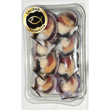 PASAPESCA COQUILLES ST.JACQUES 210G