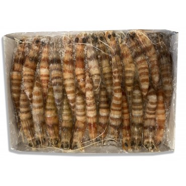 PASAPESCA LANGOSTINO TUNEZ 20/30 800G